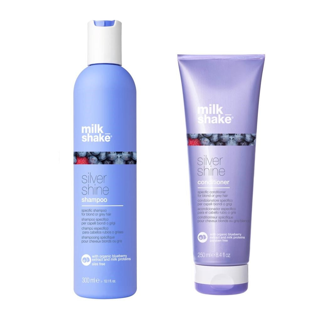 Silver Shine Hero #1